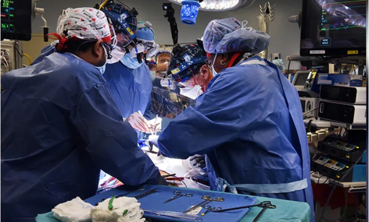 Intestine Extraction